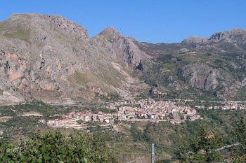 Alcaralifusi