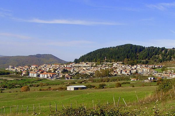 Floresta