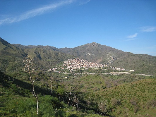 Moio Alcantara