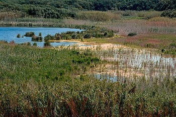 Riserva naturale integrale Lago Preola e Gorghi Tondi in Mazara del Vallo